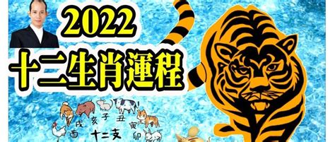 生肖財位|2022虎年，12生肖生財旺財必備